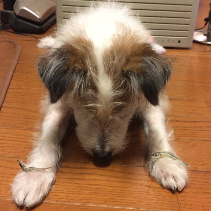 0c38160c 688f 44fd b09b 051571697f80