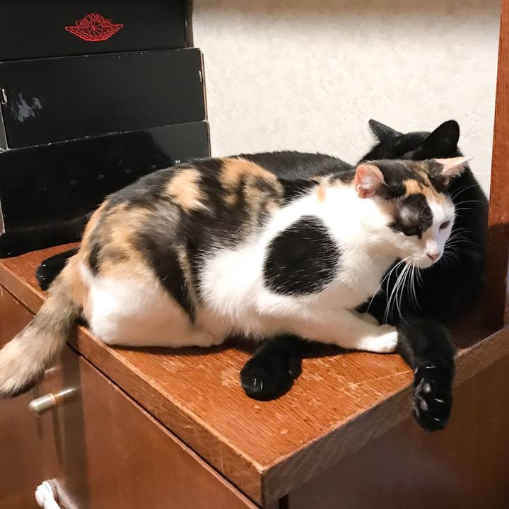 0c3860ba 49cc 4139 b6ba 614511d65f62