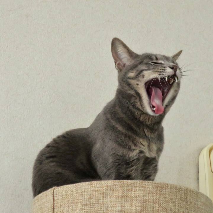 0c388f87 0a0b 4cd8 b9ef eb8032d85b08