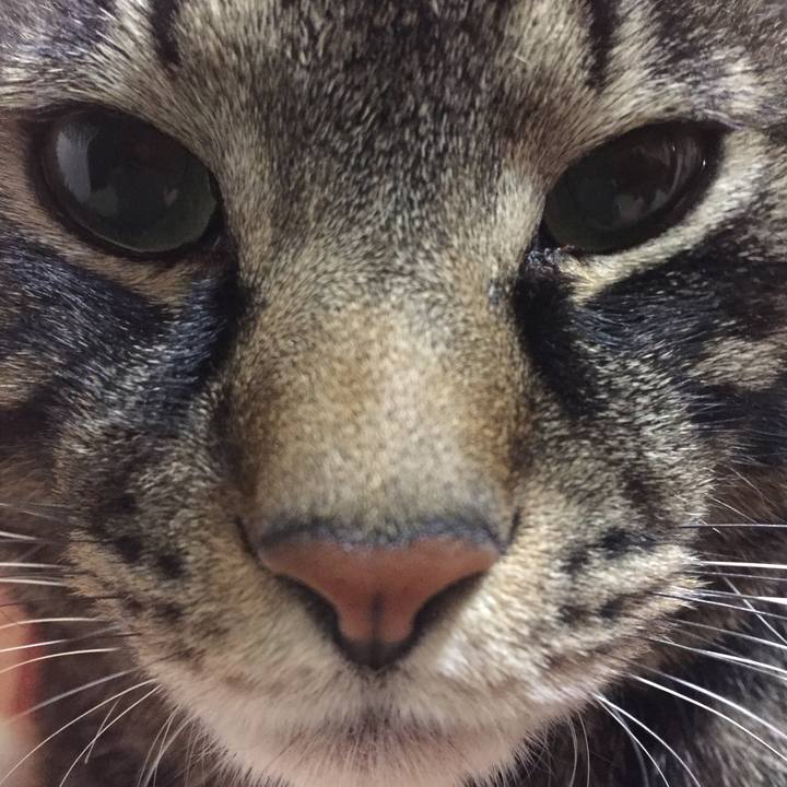 0c38b66a 085c 4069 95bf 789f72047de2