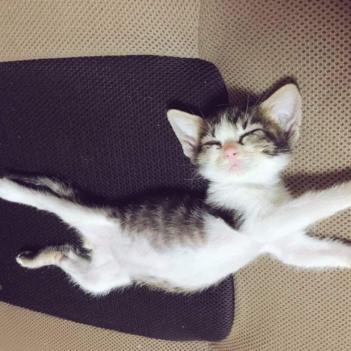 0c3996d1 0079 4dd9 939c f48ed65266b3