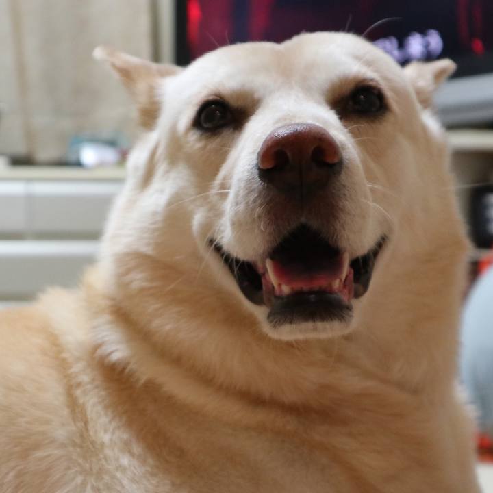 0c3a01a5 7002 495c a32e d0dcce148c9e