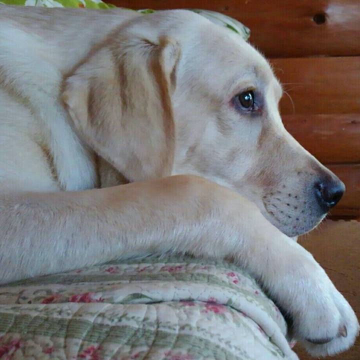 0c3a971a ba6c 4aca ac7e b3af158290c6