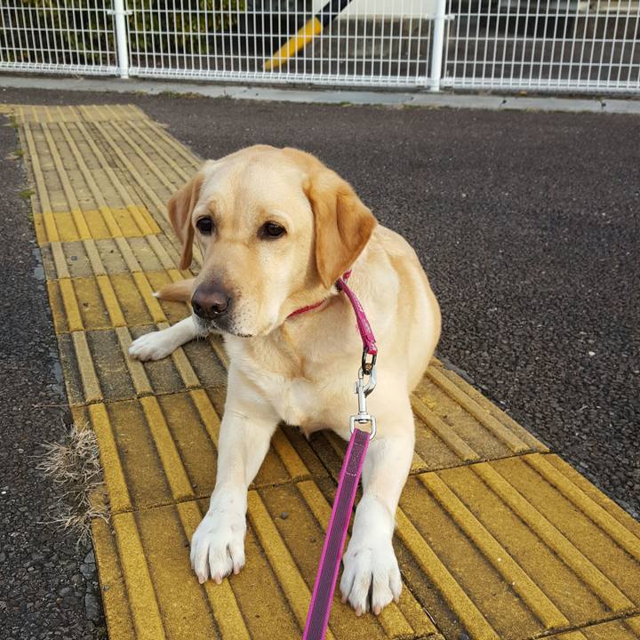 0c3aa7f0 e355 495a aeb4 ebc360af1384