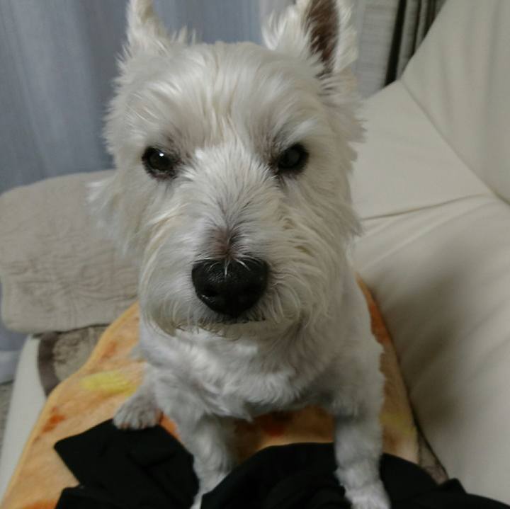 0c3ae123 e946 4c8c b4fa 334506835786