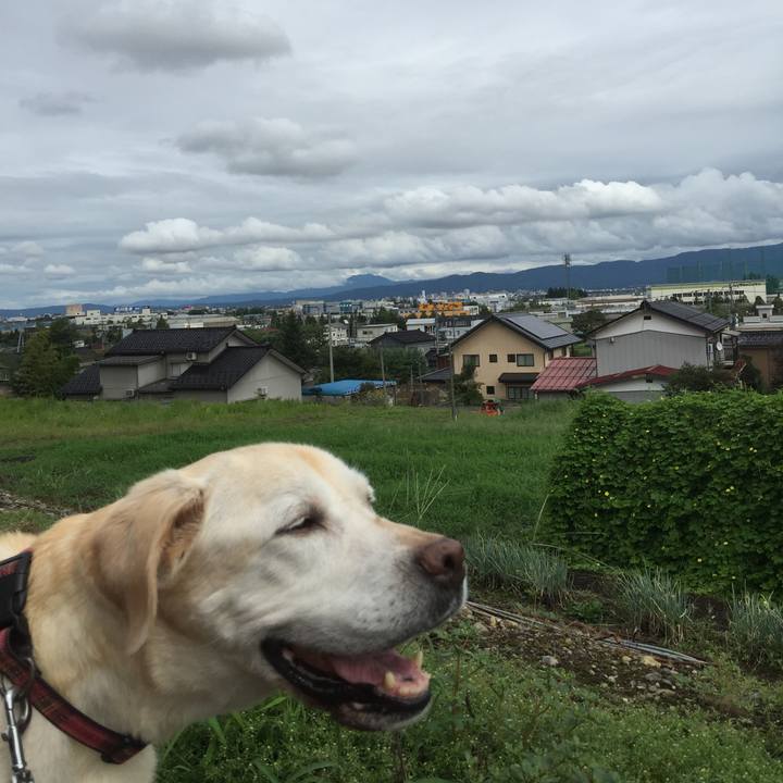 0c3b732f 8a0a 4acf baf0 3336a8153859