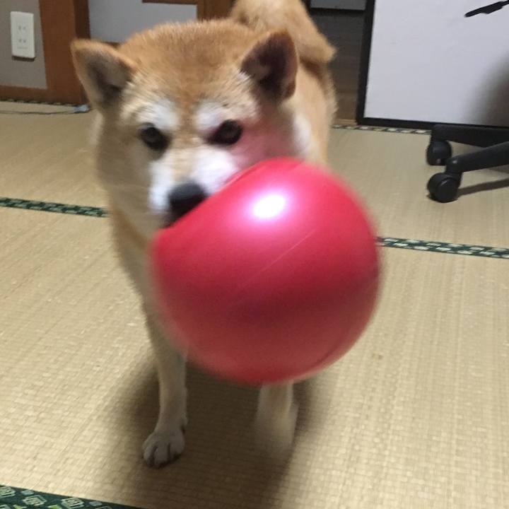 0c3c0223 0f1b 4103 8f37 0c0ee854590c