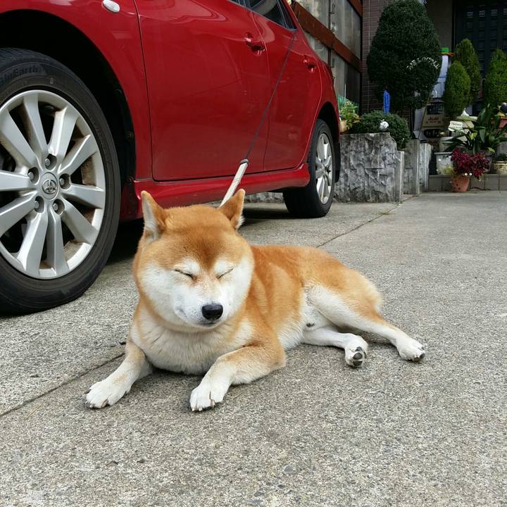 0c3c78e7 003f 4224 b813 058fed85b923