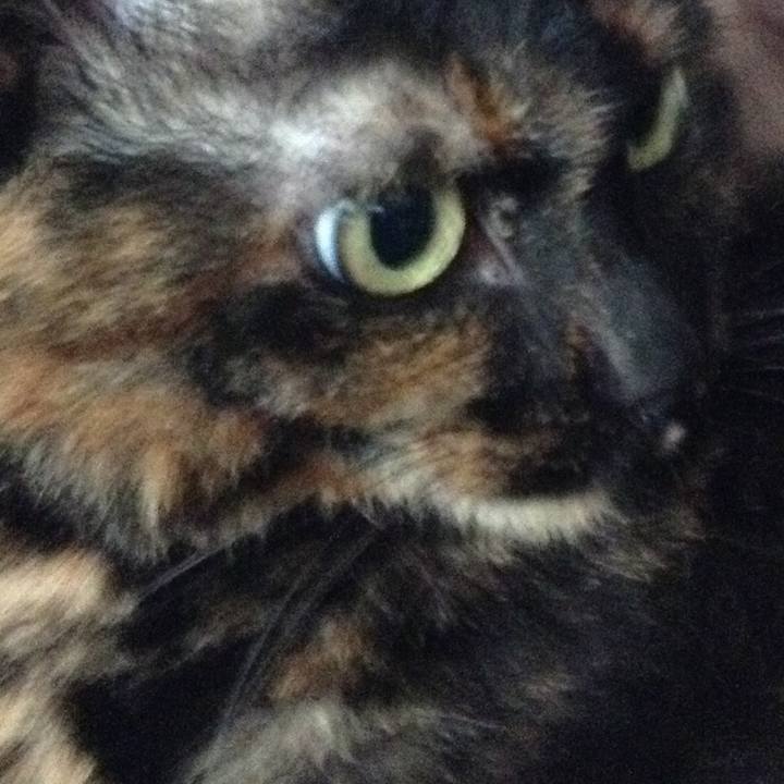 0c3cca76 e232 4ebc 80a0 2c7400656b6c