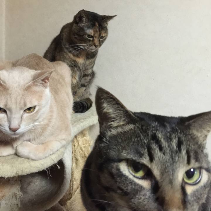 0c3d2215 e33e 4d88 ad7c c8a04fe878bc