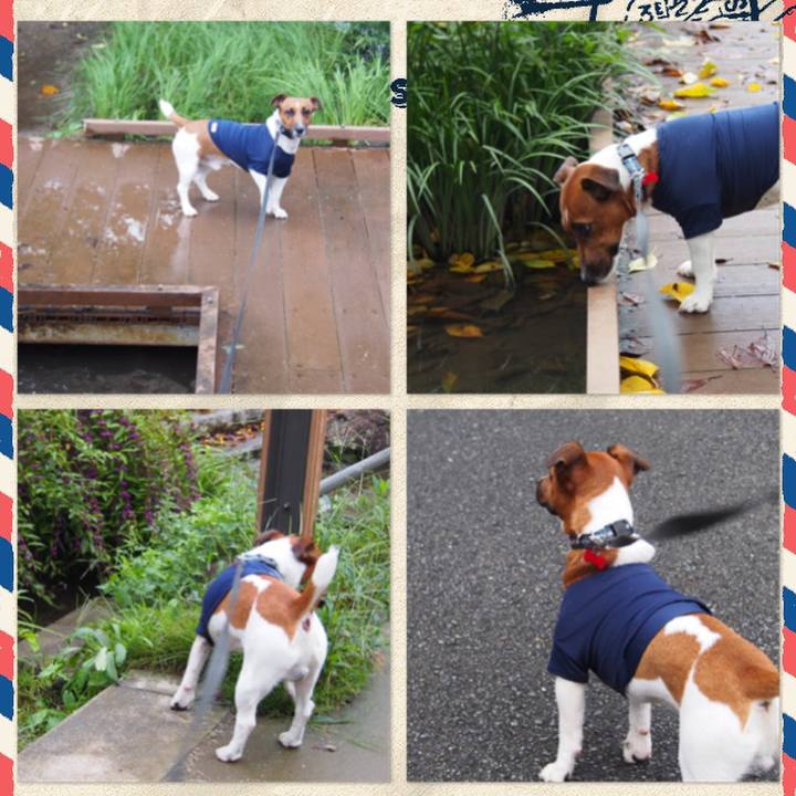 0c3db0ea 1fa2 4d90 8c8b 8823af23de15