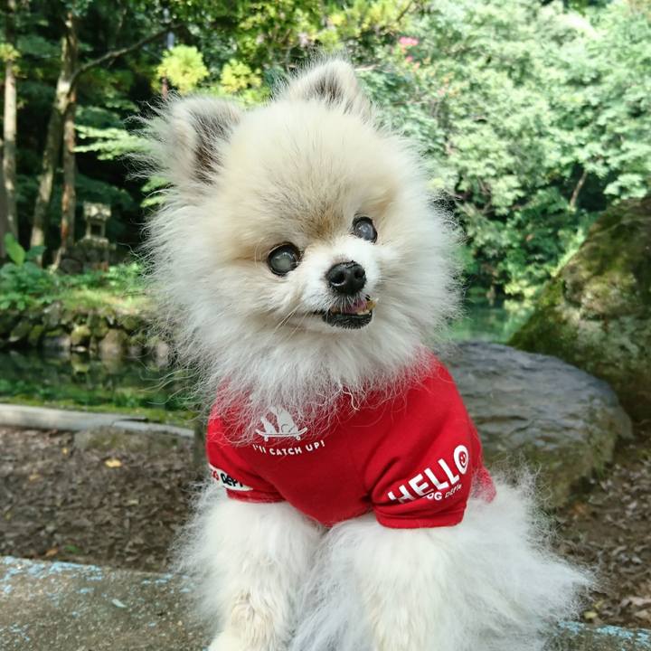 0c3db690 1672 4bf9 8b42 fe6756577324