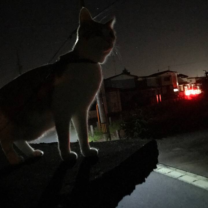 0c3e59d4 737b 45a8 a94e e4da82795920