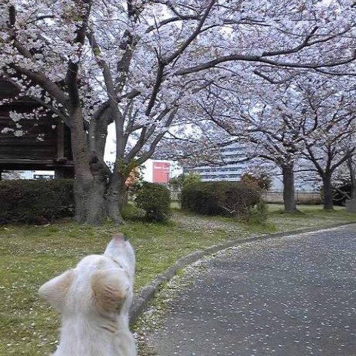 0c3eda41 ef26 458e b73b d4ea54b59bcd