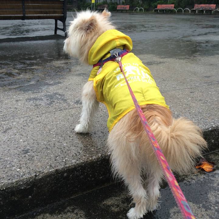 0c3f5362 605a 4663 bbb5 929f586d5589