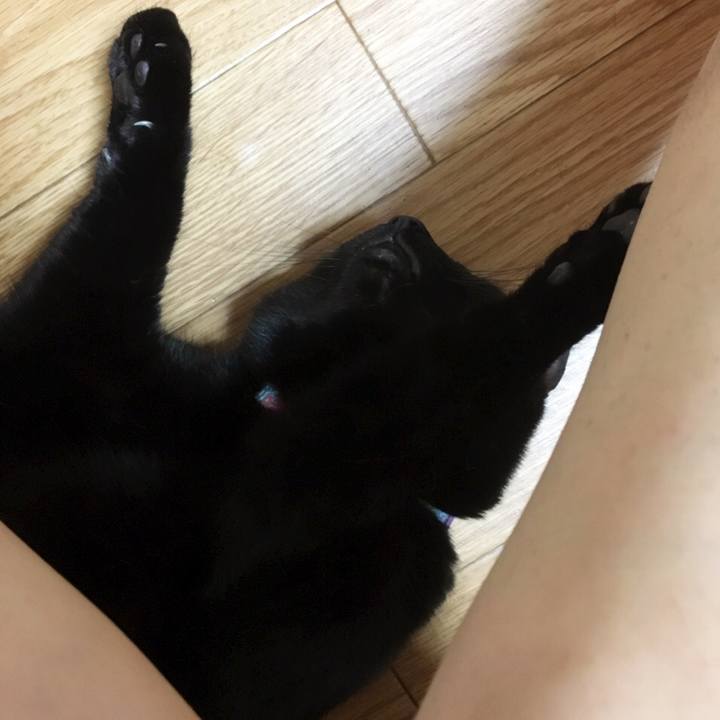 0c3f7fc0 b41a 4273 a1ab 17e10f5c0194