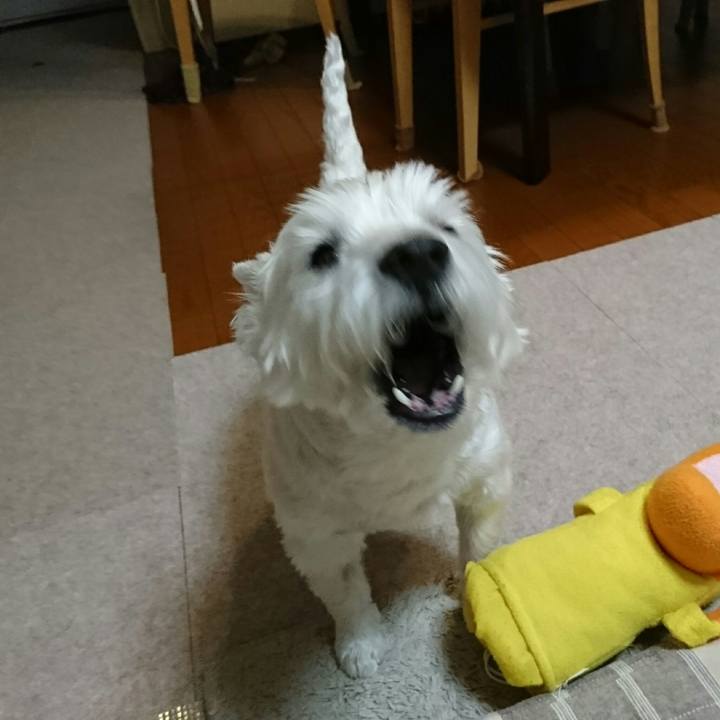 0c4020fe 46e8 4039 9183 be32d0110a8e