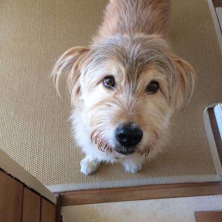 0c4044e2 616d 4e45 bce2 f4ad9fd4ea38