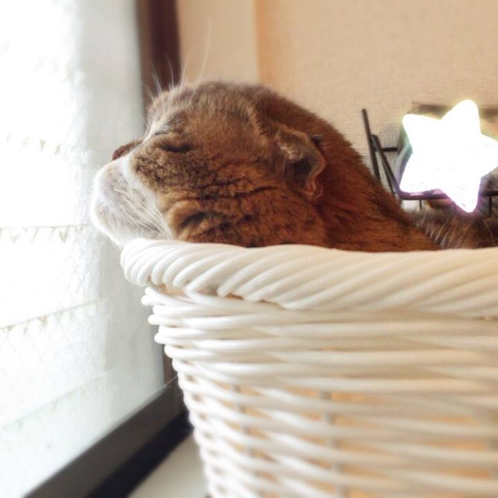 0c40959b 3384 480f 8fa7 54870bc5a354