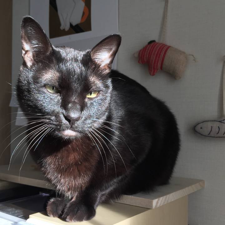 0c40ddf2 aa0e 40c9 8797 069143ba0be9