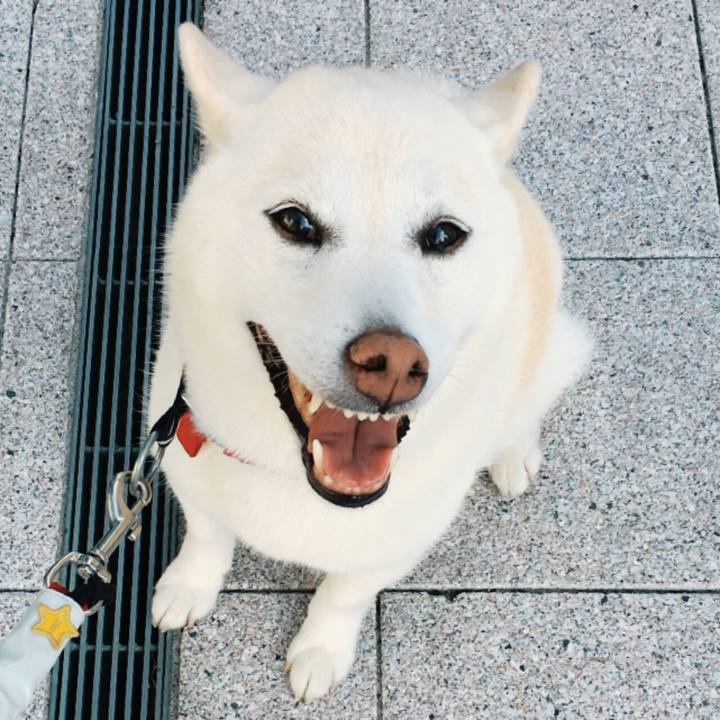 0c40e6b8 f279 4116 8daf d3cbbd0e465b