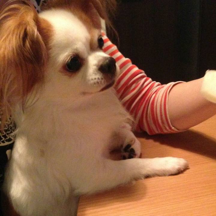 0c41a60a be15 41fe 8764 ece65c405453