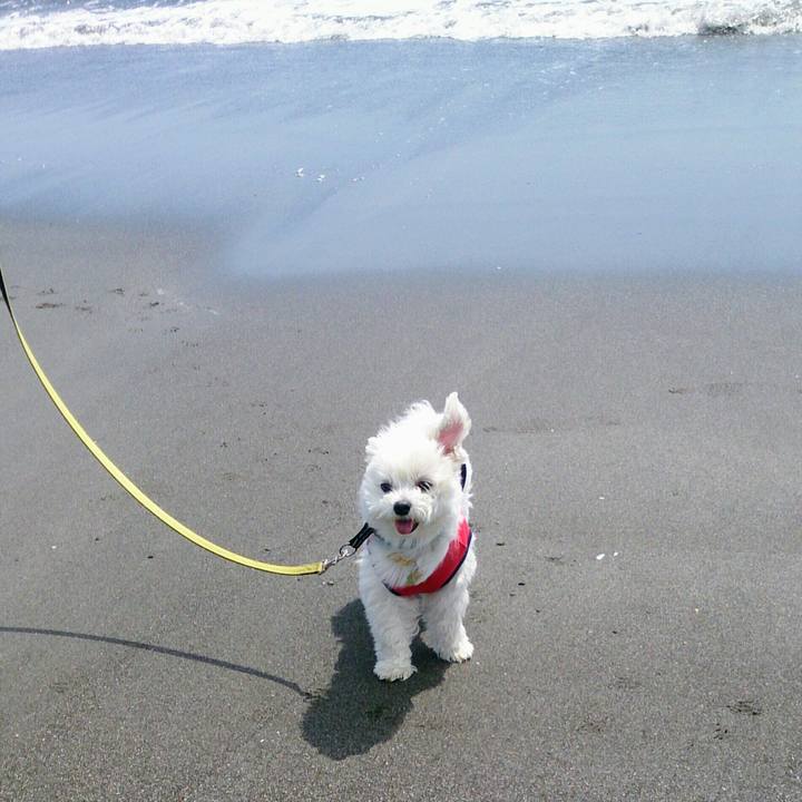 0c41c83b ac30 4571 aeb5 21e3ca6cae57