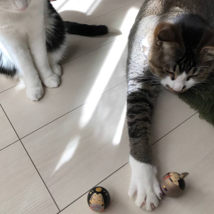 0c422ed9 3013 46d3 af23 8e0fb9153f9c