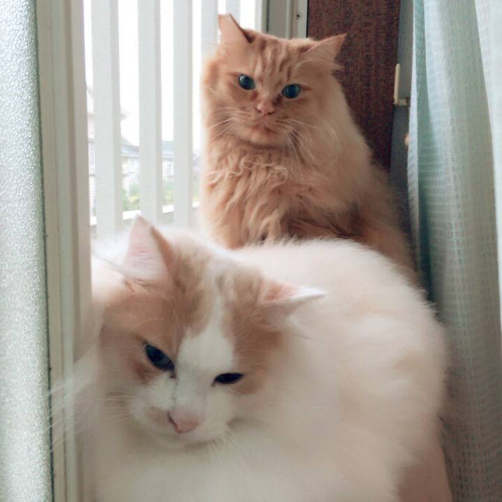 0c429dd8 75c3 4dc9 80df 8cc1b5c77c67