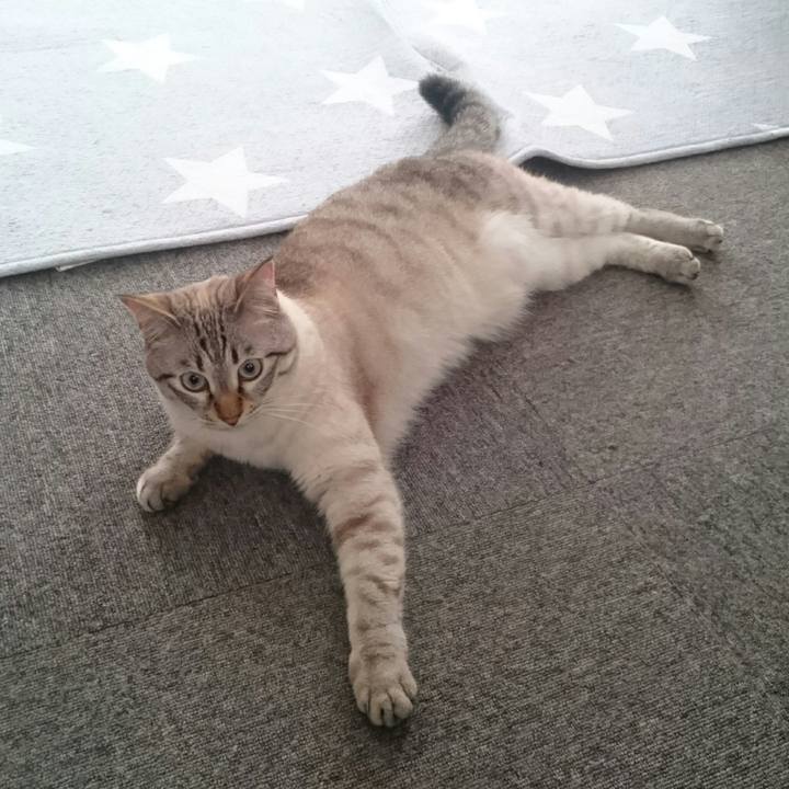 0c42a480 c06e 4f90 8ce9 d9e406088940