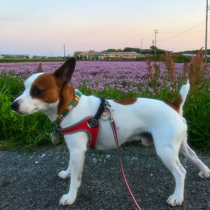 0c431551 8e2e 4388 9dfe 0ced1b746e0b