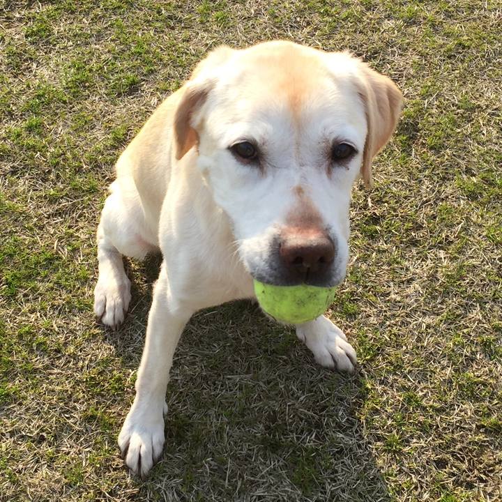 0c43d0df b495 45c1 a030 266d6aed2560