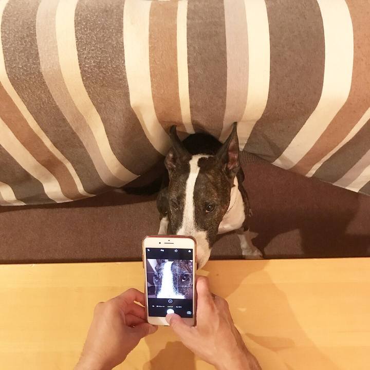 0c441404 8170 4750 abd9 484885938aa0