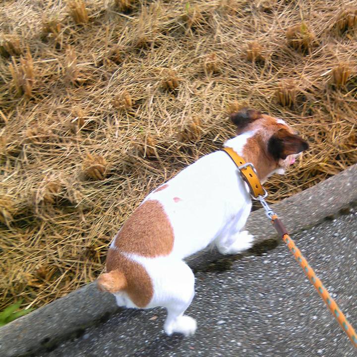 0c441473 25a6 433e aad2 0ff94448e6fb