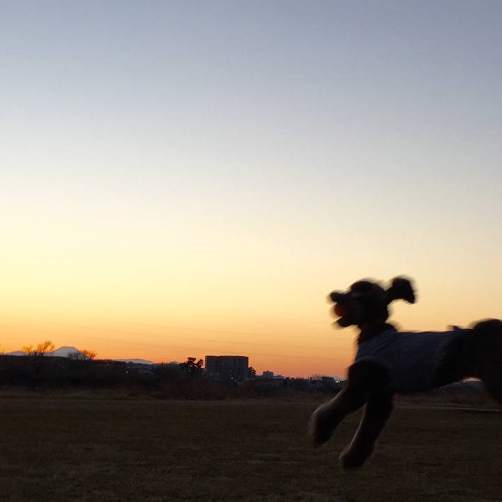 0c449b6c f0d5 4f69 bdec 079ea1f4a09a