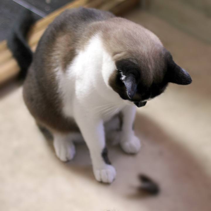 0c44d49e b6c8 4bc2 a4bd 83e600ee2e22