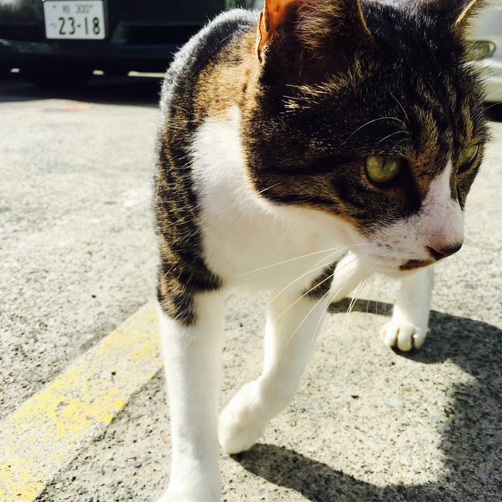 0c45b331 041d 4046 8e0c 974a587d4926