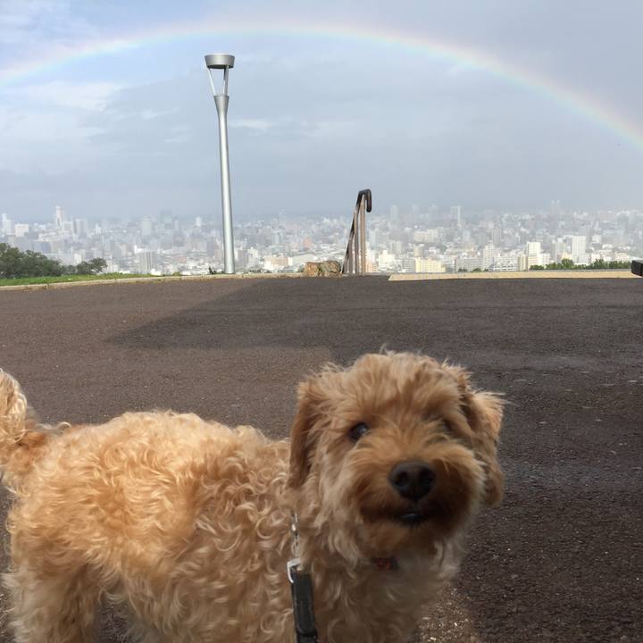 0c46328a a46a 44ce b8ef 8439bc366744