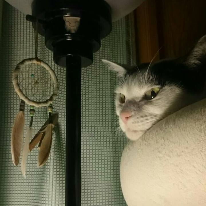 0c470e68 bf84 48e9 8e33 cb0cdd35c5ee