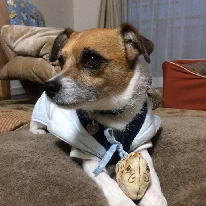 0c478aca bc49 498e b71b cf10ddb3d155