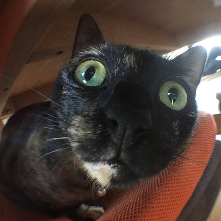 0c47db8d e013 4cfe 9a72 811dd2b09016