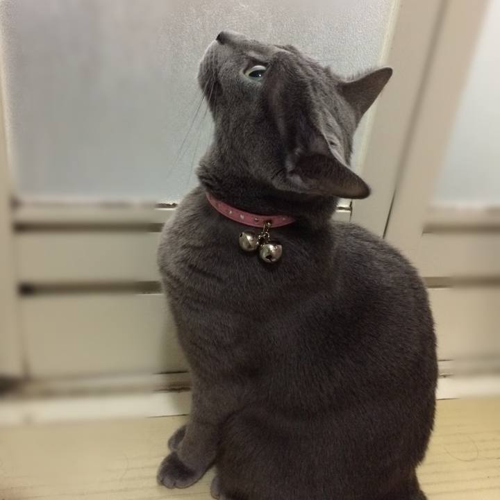 0c48e0c1 680e 43cb 855e 4a18f79560e8