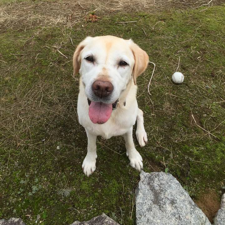 0c490dc9 dd17 489c bd13 8acd9fc9245a