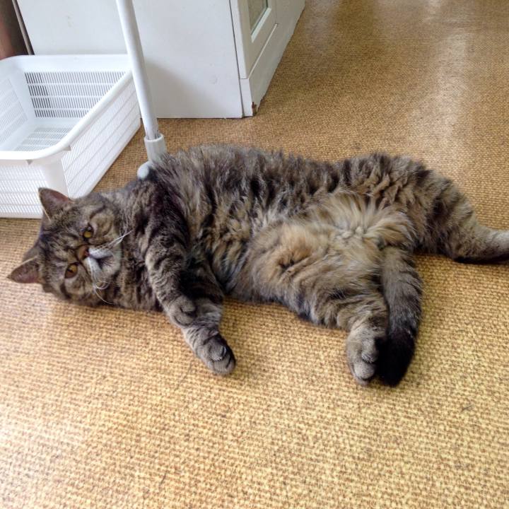 0c49b083 d0b5 4dce a960 0e360a452eef