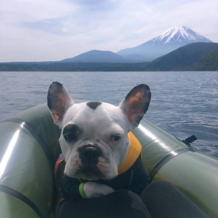 0c4a0540 832f 42d4 9d70 117a22be4c80