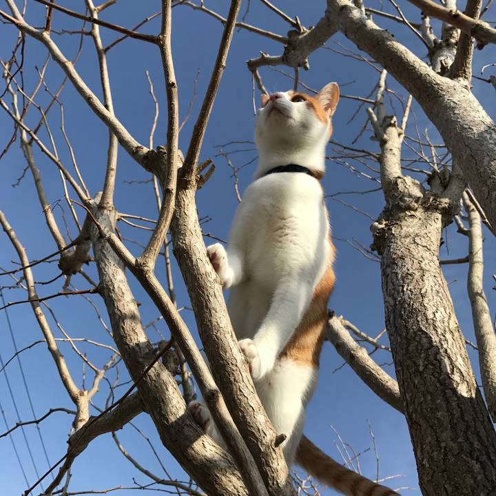 0c4a4970 8b79 44b3 b796 dee510d7bed4