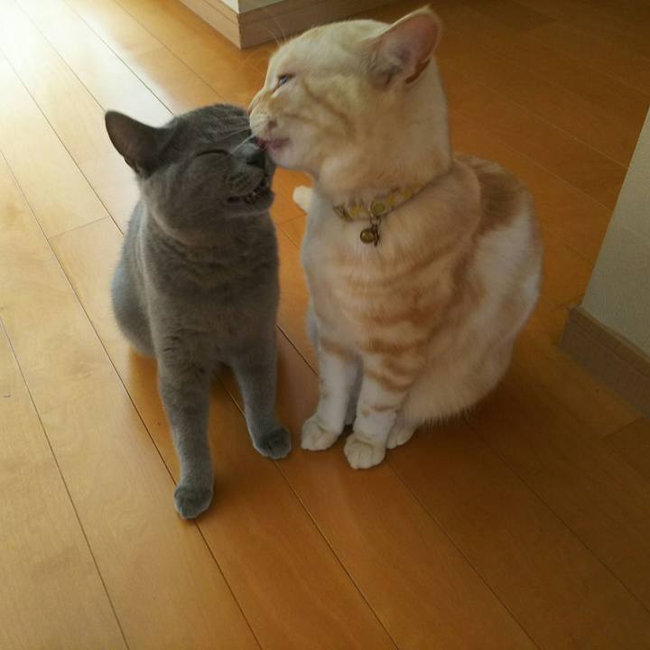 0c4a801f 07c1 4b0c b2f8 cf53bb93798e