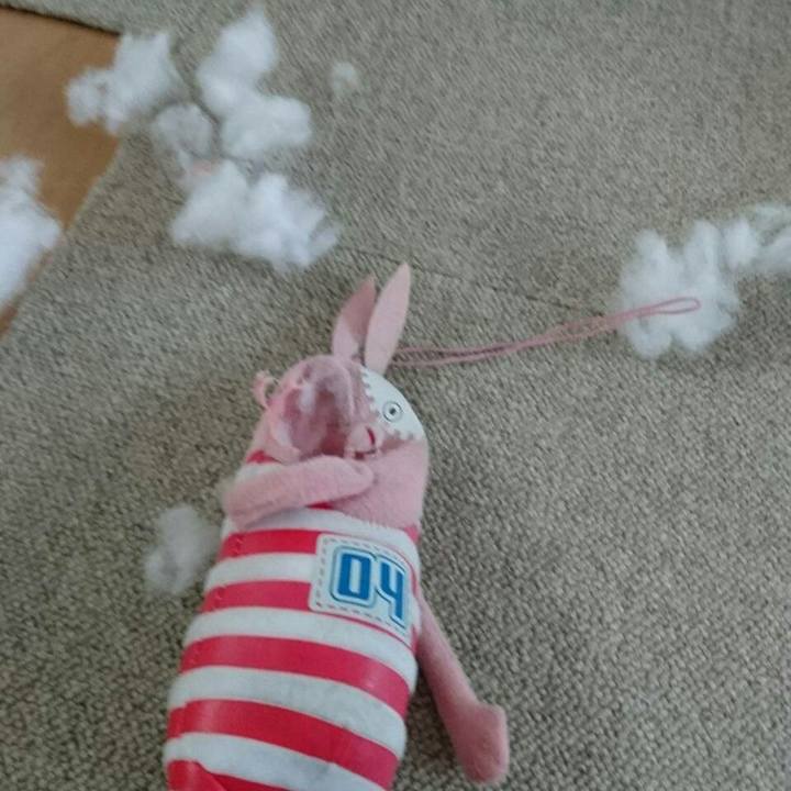 0c4aada4 f472 4bc6 9369 cbe5af0cb6b0