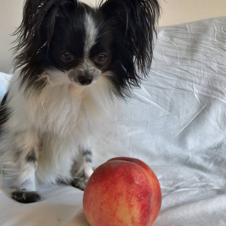 0c4b062f caba 4bb1 b091 d12636041697