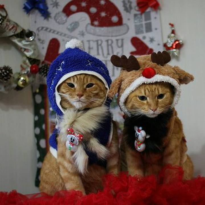 0c4bc8bc ec89 48d4 a916 f66838827674